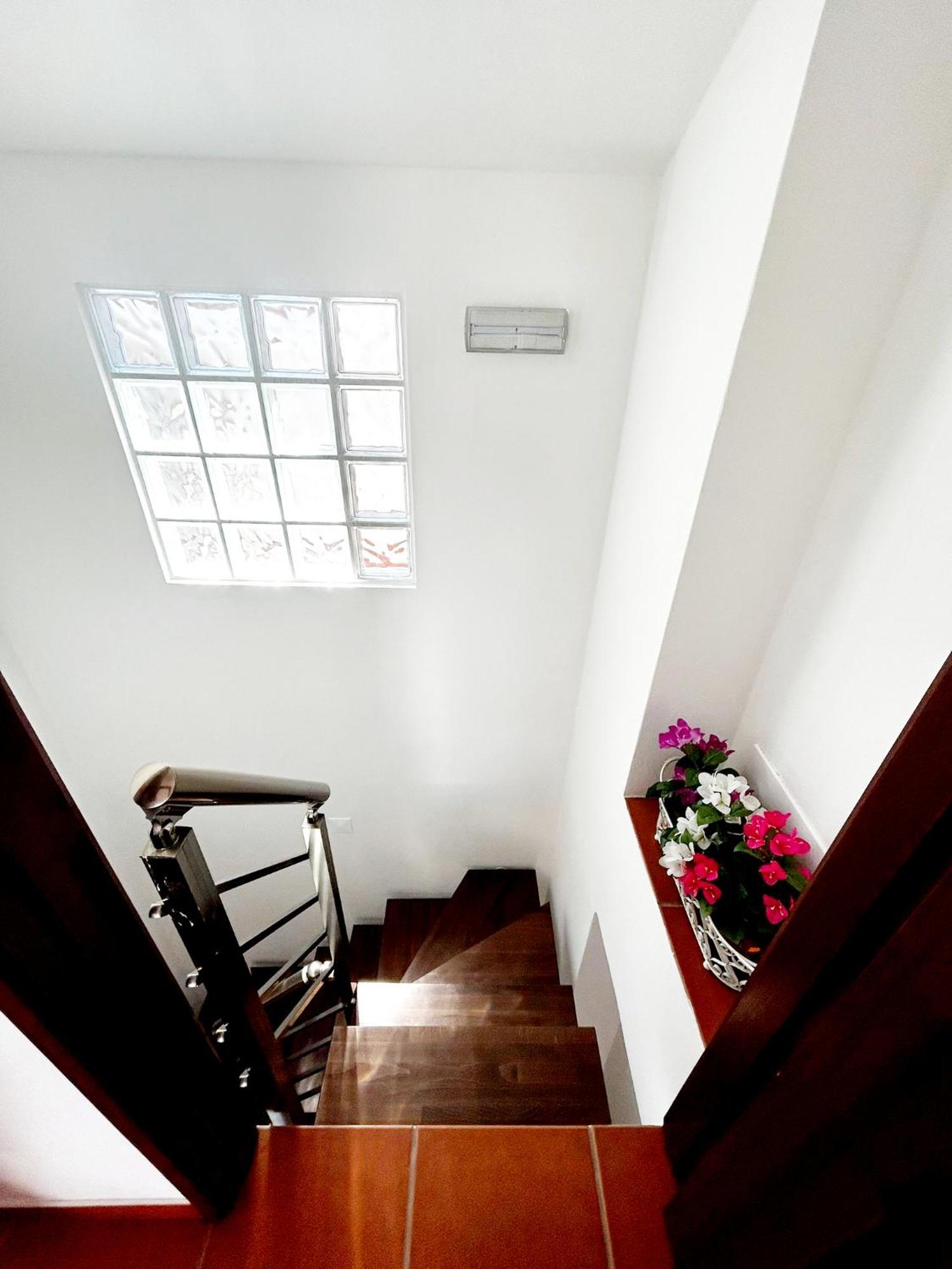 Vicentina Rooms & Apartment - Duna Parque Resorts & Hotels Vila Nova de Milfontes Rum bild